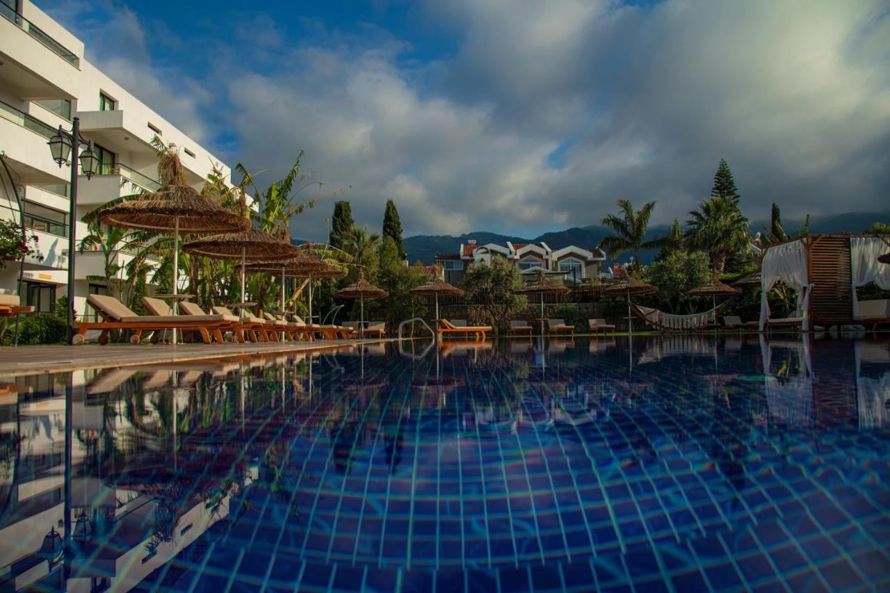 Palmonte Suites Hotel & Spa Karavas  Dış mekan fotoğraf